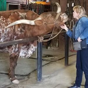 Meet your Posher, Lauree